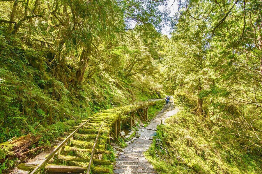 activity_detail_image