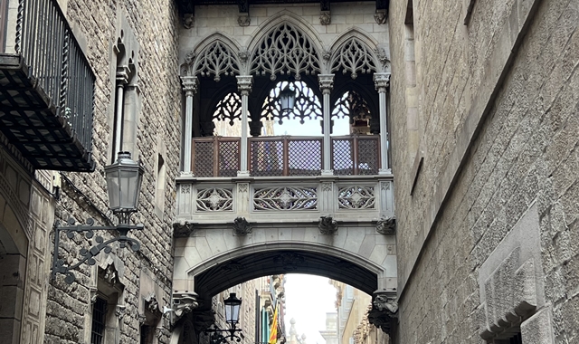 [비바스페인] 바르셀로나 소그룹 야경 산책 투어 (당일 예약 가능, 최소 규모)