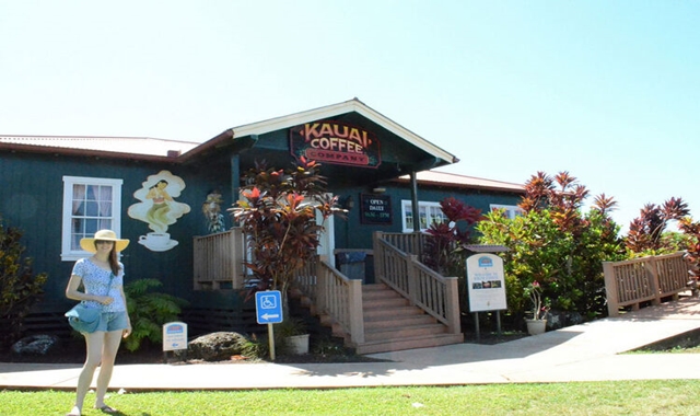 Hawaii Kauai Island Day Trip from Oahu with Round-trip Airfare