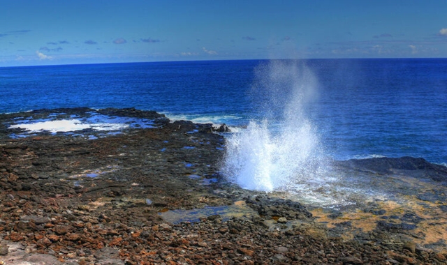 Hawaii Kauai Island Day Trip from Oahu with Round-trip Airfare