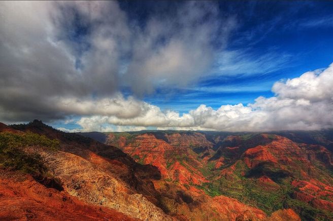 Oahu Departure: Kauai Island Day Tour (Round-Trip Airfare Included)