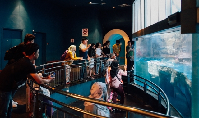 activity_detail_image