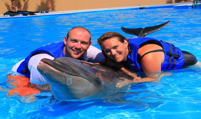 Hawaii Sea Life Park Dolphin Experience