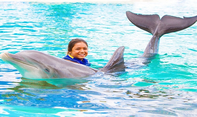 Hawaii Sea Life Park Dolphin Experience