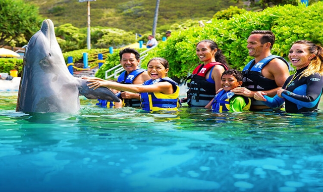 Hawaii Sea Life Park Dolphin Experience