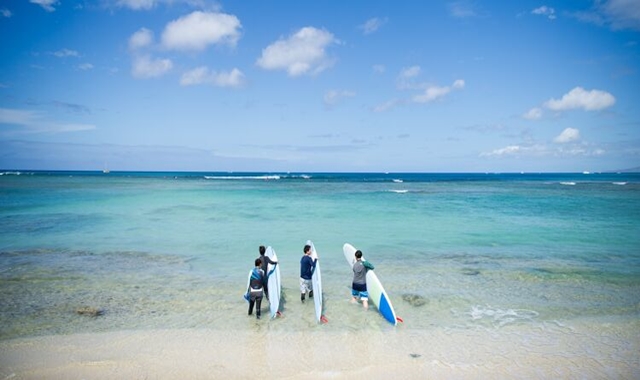 [한국인 강사] 하와이 호놀룰루 비치 서핑 레슨