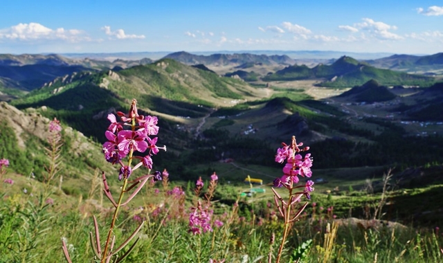Mongolia: Terelj National Park Overnight Tour