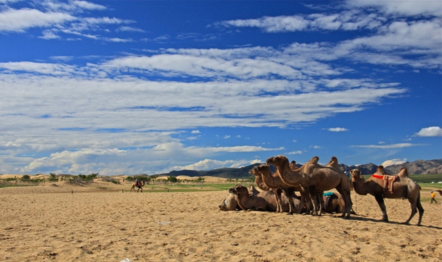 Mongolia: 3-Day Terelj National Park, Desert & Hot Springs Tour