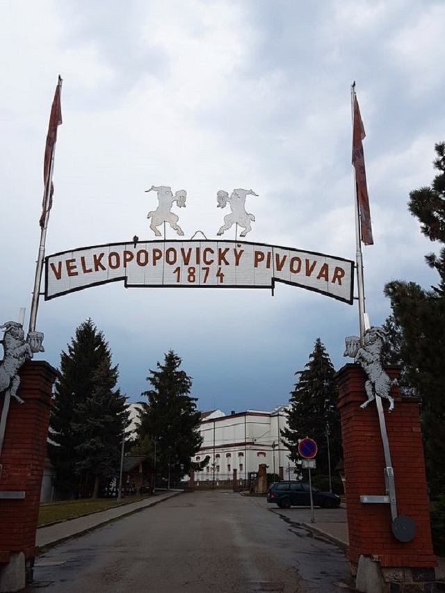 프라하 코젤 맥주 정복 브루어리 투어 with 김산슬 가이드