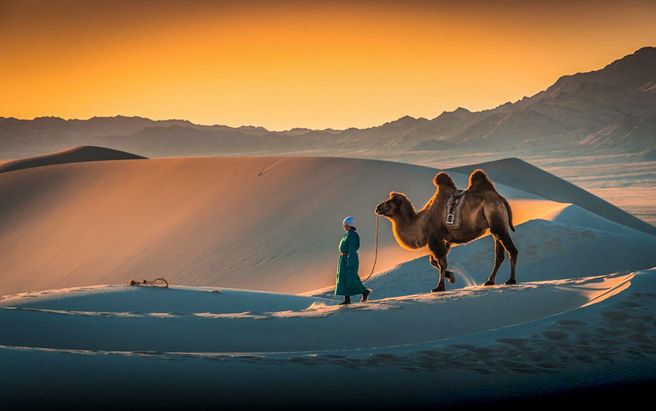 Mongolia: 8-Day Gobi Desert Tour