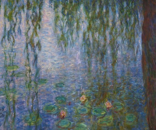 activity_detail_image