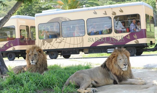 和歌山 アドベンチャーワールド 電子チケット