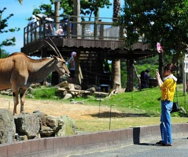 activity_detail_image