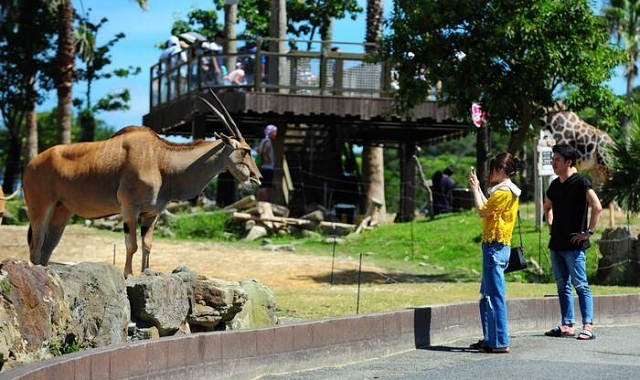 和歌山 アドベンチャーワールド 電子チケット
