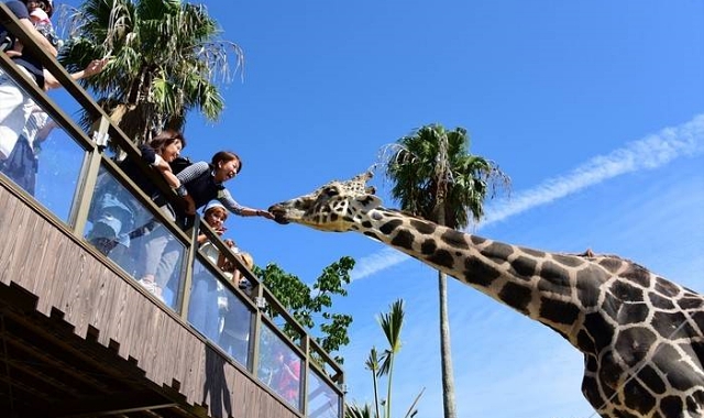 和歌山 アドベンチャーワールド 電子チケット