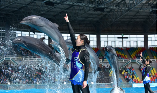 和歌山 アドベンチャーワールド 電子チケット