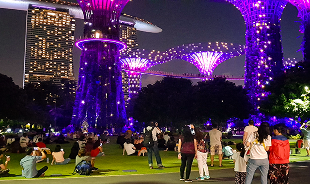 싱가포르 먹방 & 야경 투어 (한국인 가이드 / 칠리 크랩, 타이거맥주, 스펙트라쇼)