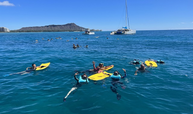 하와이 거북이 스노클링 + 해양 액티비티 5종 체험 (한인가이드 & 다양한 스낵 제공)