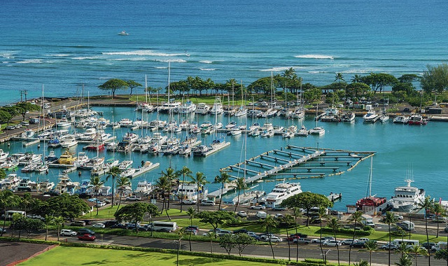 하와이 거북이 스노클링 + 해양 액티비티 5종 체험 (한인가이드 & 다양한 스낵 제공)