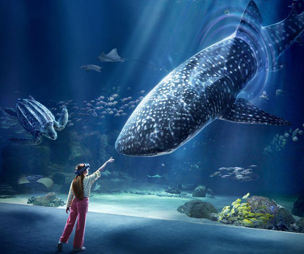 activity_detail_image