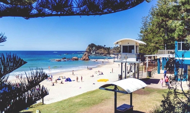 [조이투어] 퍼핑빌리 + 필립 아일랜드 야생 펭귄 일일 투어 (인생 영상 제공)