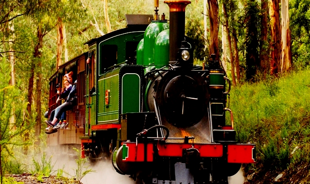 [조이투어] 퍼핑빌리 + 필립 아일랜드 야생 펭귄 일일 투어 (인생 영상 제공)