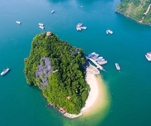 activity_detail_image