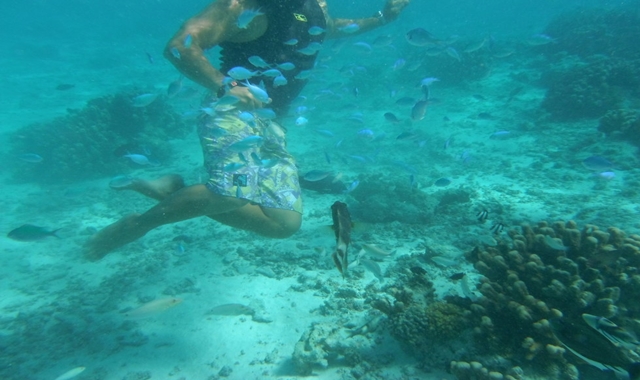 activity_detail_image