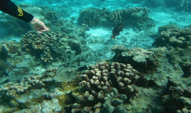 activity_detail_image