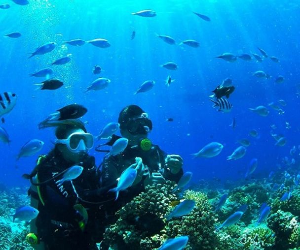 activity_detail_image