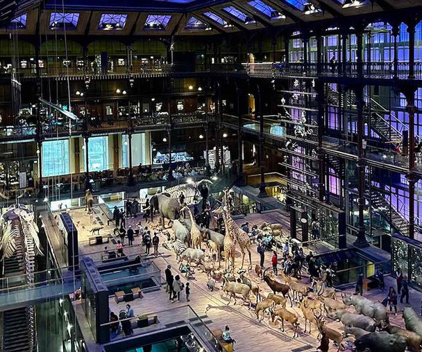 activity_detail_image