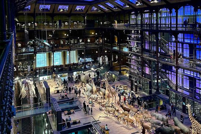 Paris: National Museum of Natural History (Grande Galerie de l'Évolution) Fast-Track TIcket - Skip the Line Access