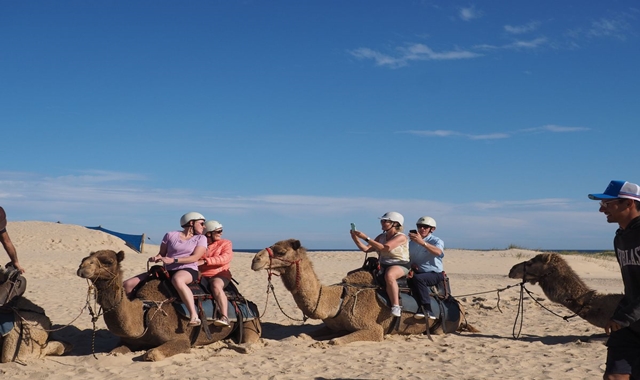 [스리봉스] 시드니 포트스테판 + 쿼드바이크 + 낙타 단독 투어