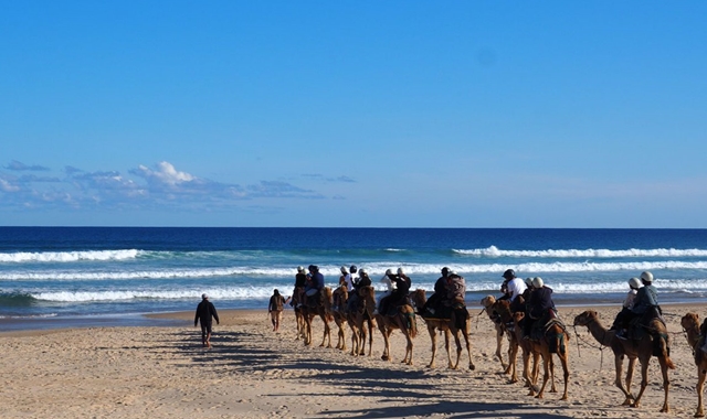 [스리봉스] 시드니 포트스테판 + 쿼드바이크 + 낙타 단독 투어