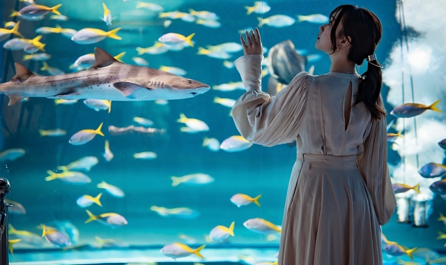 Kobe Port Museum atoa Aquarium Ticket