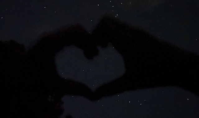 [스리봉스] 시드니 울릉공 노을별 단독 투어