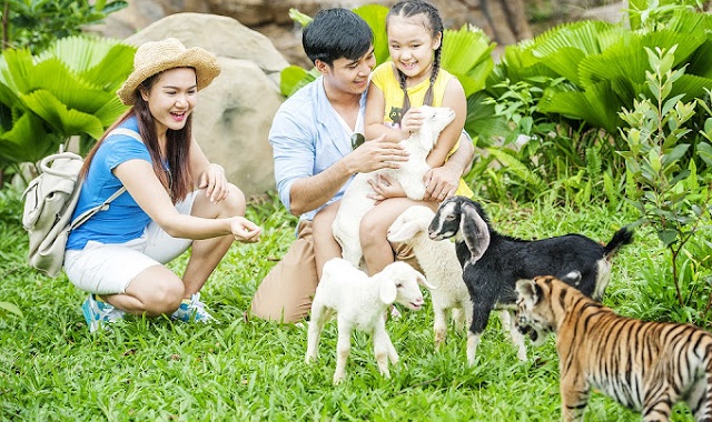 푸꾸옥 빈원더스 & 빈펄 사파리 입장권