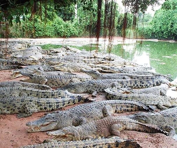 activity_detail_image