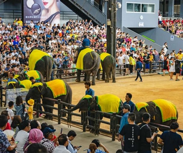 activity_detail_image