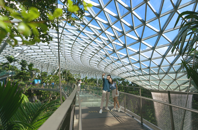 싱가포르 창이공항 폭포 쥬얼 입장권 (캐노피 브릿지, 캐노피 파크)