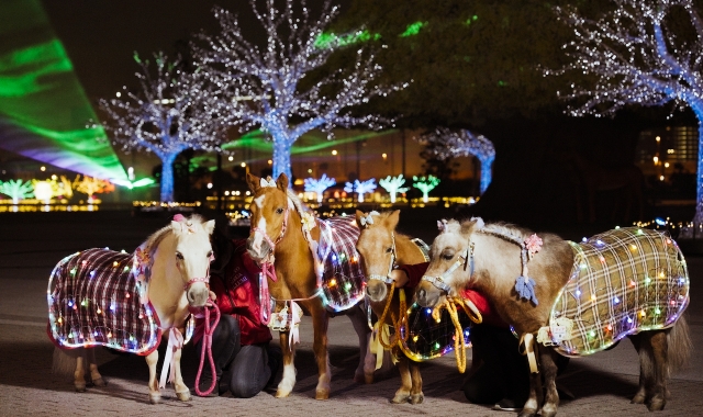東京メガイルミ2025 電子チケット (大井競馬場イルミネーション)