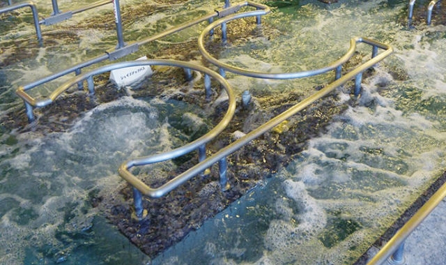 京都 玉光湯ひじりのね伏見店 温泉入場チケット