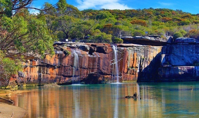 [스리봉스] 시드니 공항 픽업 & 울릉공 단독 투어