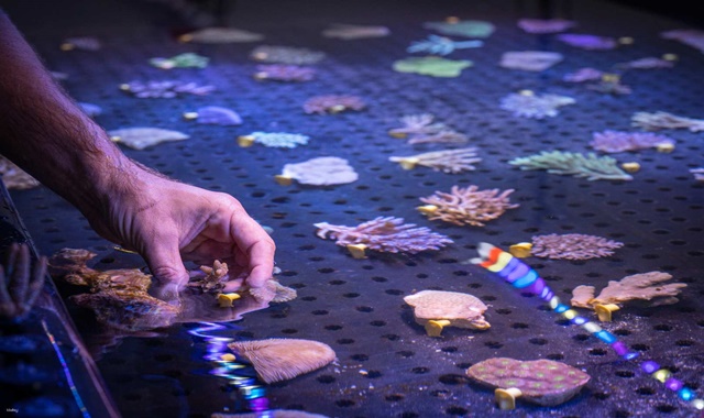 Cairns Aquarium Ticket