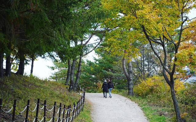 강원 평창 모나용평리조트 애니포레 입장권