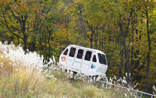강원 평창 모나용평리조트 애니포레 입장권