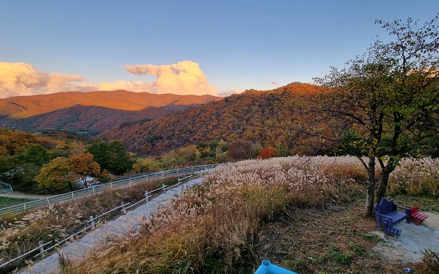 강원 평창 모나용평리조트 애니포레 입장권