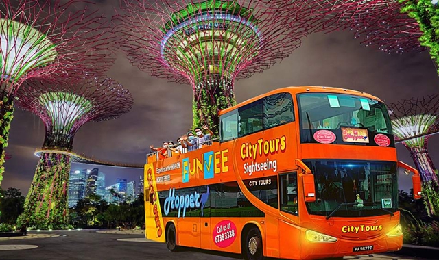 Singapore 5 Hot Spots & 3 Night Views Tour by Double-Decker Bus