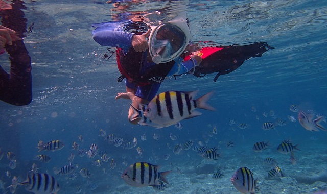 [놀자호핑] 15년 무사고 제대로 노는 놀자 호핑 - 무한 스노클링, 맛집