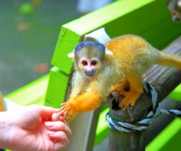 activity_detail_image